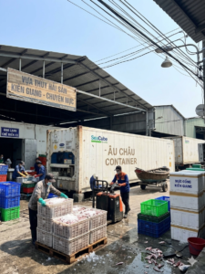 container lạnh mực Kiên Giang