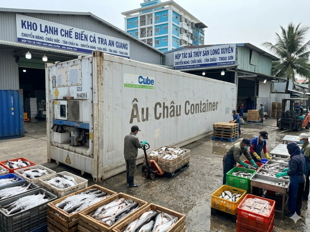 container lạnh cá tra An Giang