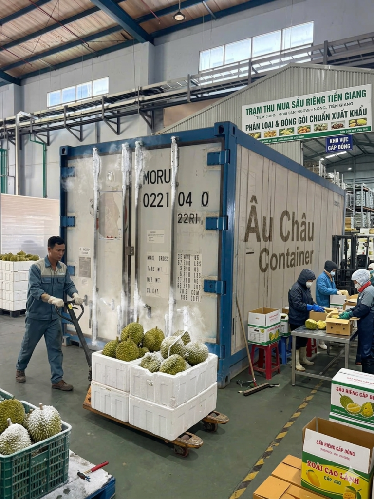 container lạnh sầu riêng cấp đông Tiền Giang