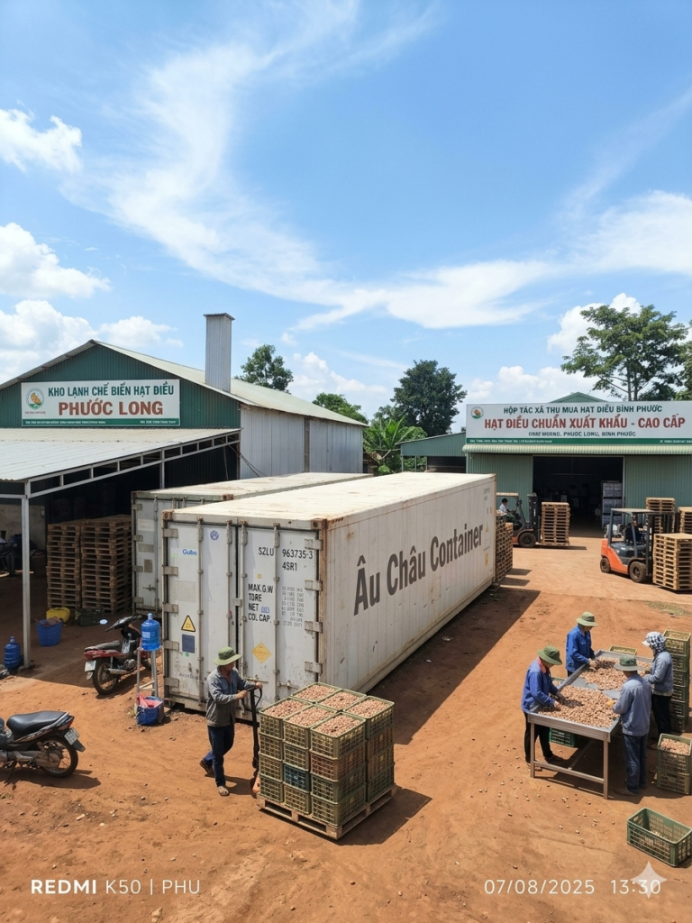 container lạnh hạt điều Bình Phước