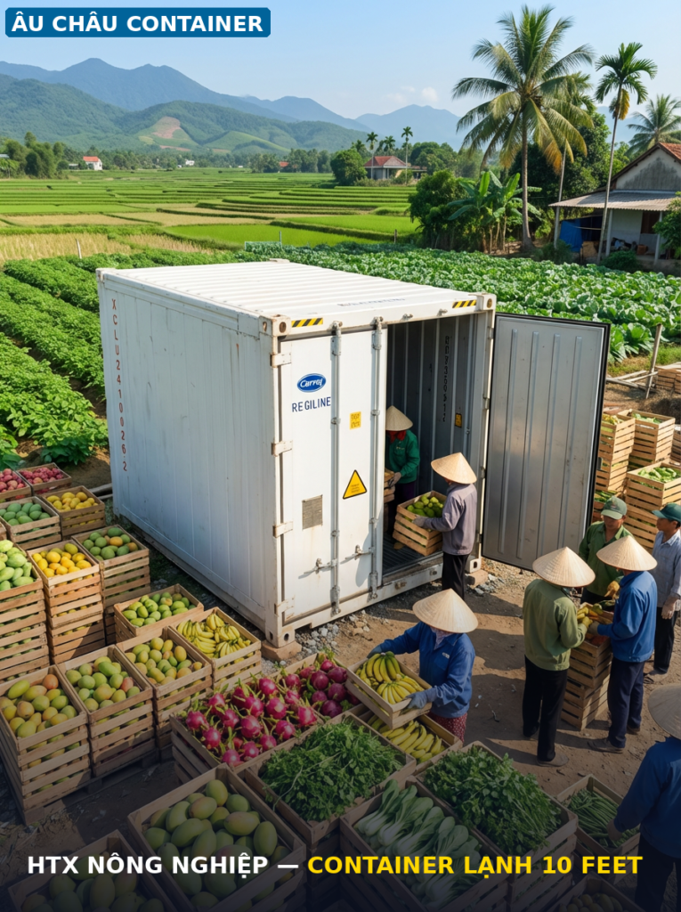 Container lạnh 10 feet cho hợp tác xã nông nghiệp