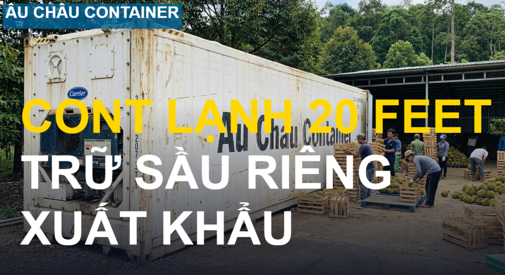 cont lạnh 20 feet trữ sầu riêng xuất khẩu