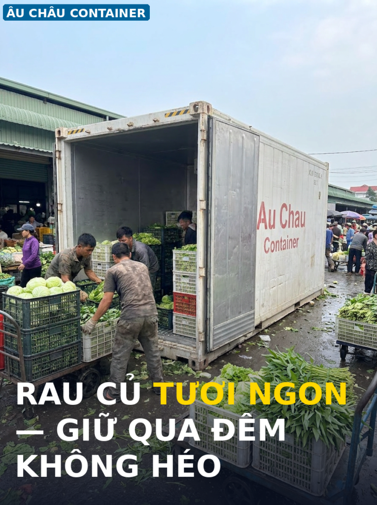 container lạnh 10 feet bảo quản rau củ tươi tại chợ đầu mối - Âu Châu Container
