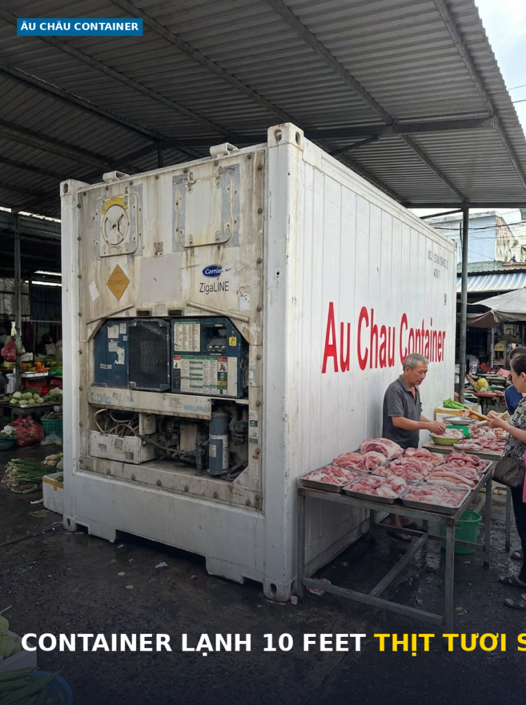 container lạnh 10 feet thịt tươi sống