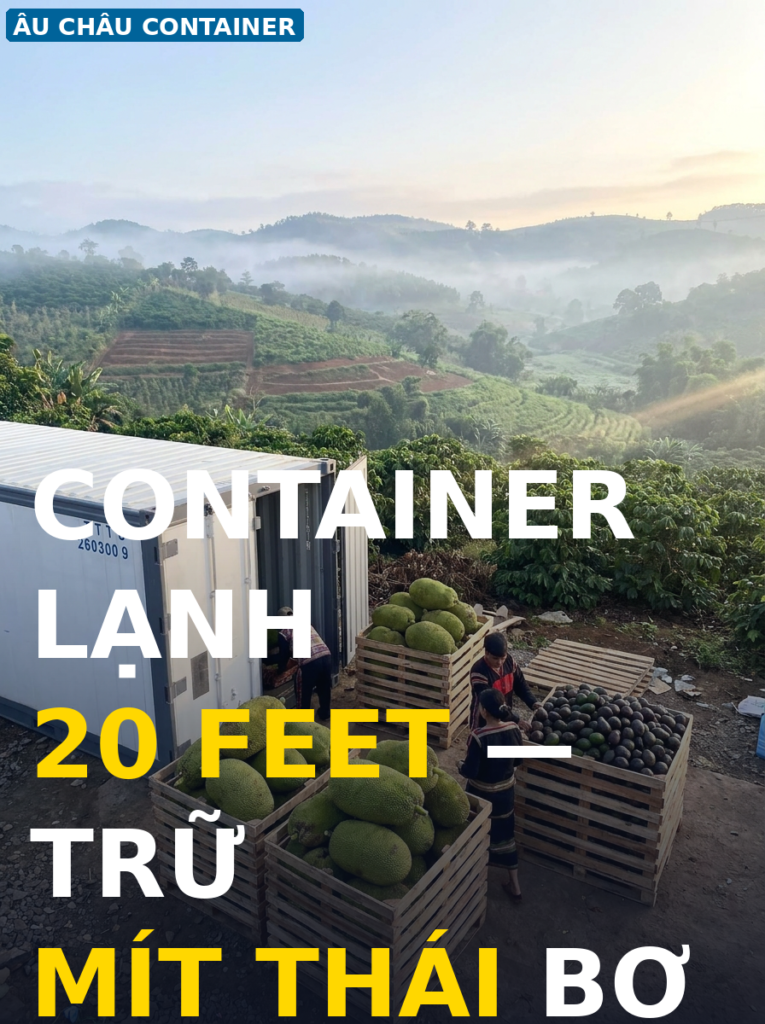 container lạnh 20 feet trữ mít thái bơ xuất khẩu Tây Nguyên — Âu Châu Container