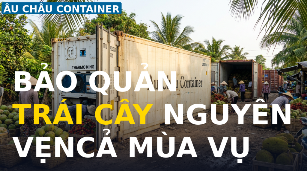 cont lạnh 20 feet tại Bến Tre bảo quản trái cây thủy sản
