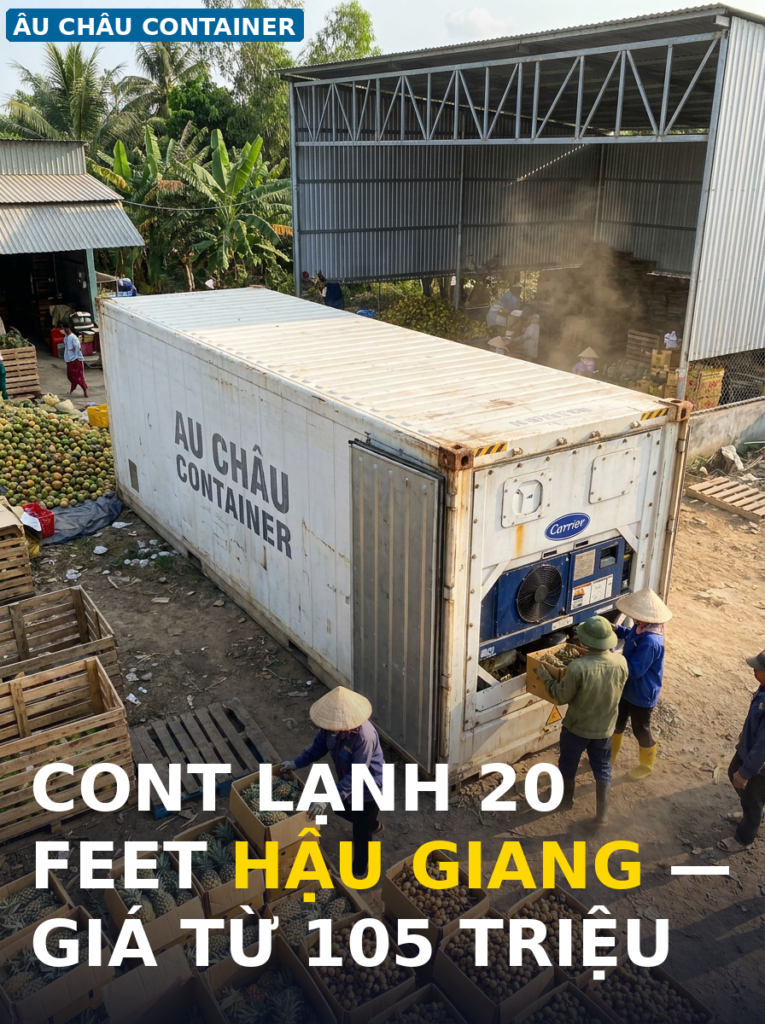 cont lạnh 20 feet tại Hậu Giang