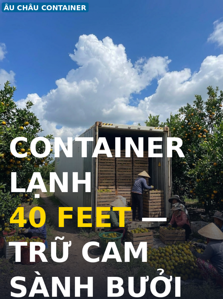 Container lạnh 40 feet bảo quản cam sành bưởi da xanh miền Tây — Âu Châu Container
