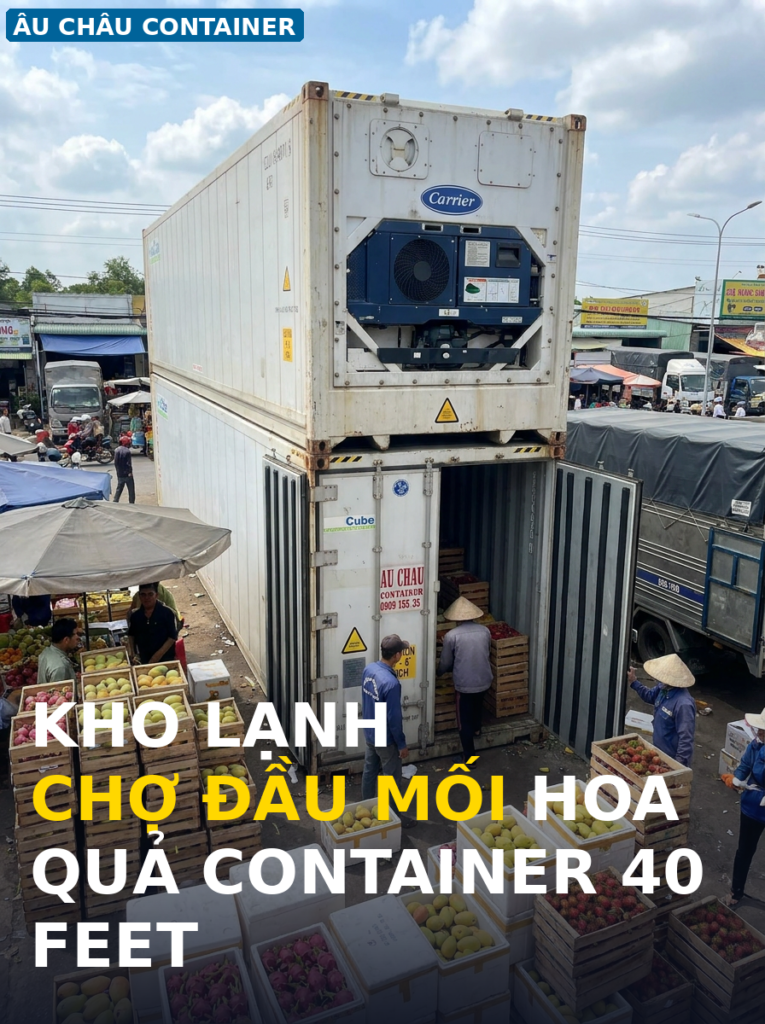 Container lạnh 40 feet cho chợ đầu mối hoa quả Long An Tiền Giang — Âu Châu Container