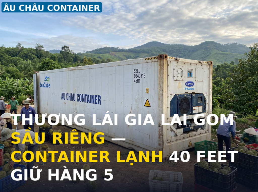 công lạnh 40 feet cho kho trung chuyển thương lái