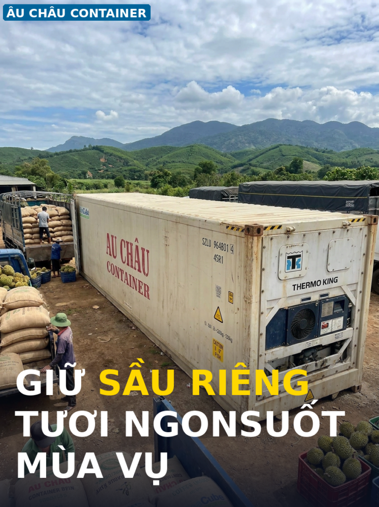 công lạnh 40 feet tại Đắk Lắk bảo quản sầu riêng nông sản Tây Nguyên