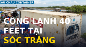 công lạnh 40 feet bảo quản nông sản khoai tây hành tỏi rau củ quy mô lớn