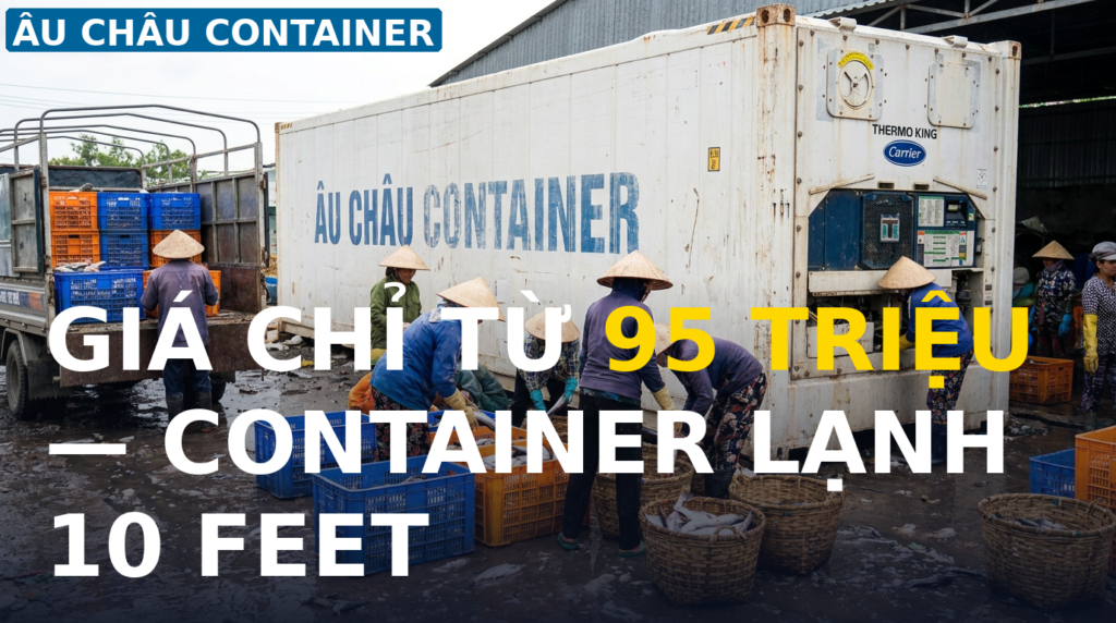 container lạnh 10 feet tại An Giang