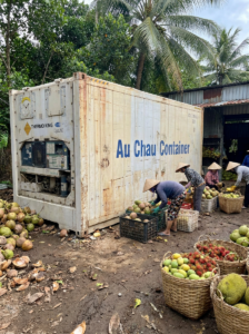 container lạnh 10 feet tại Bến Tre
