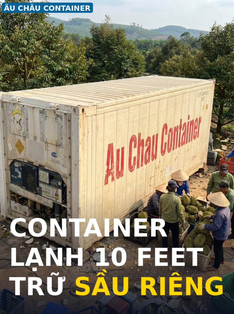 container lạnh 10 feet trữ sầu riêng tại Đắk Lắk
