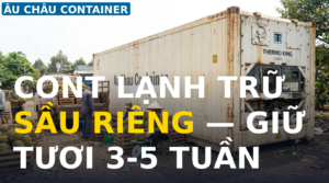 cont lạnh trữ sầu riêng tại Lâm Đồng