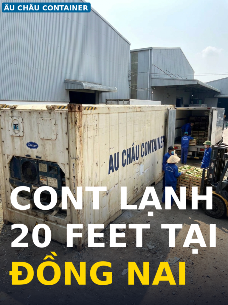 cont lạnh 20 feet bảo quản sầu riêng