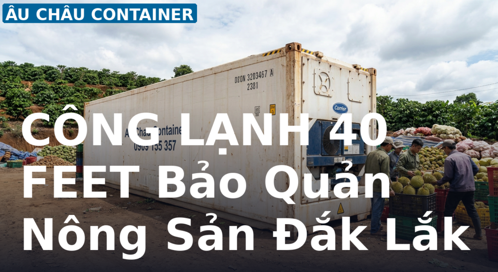công lạnh 40 feet bảo quản nông sản tại Đắk Lắk – từ 140 triệu