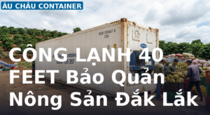 công lạnh 40 feet bảo quản nông sản tại Đắk Lắk – từ 140 triệu