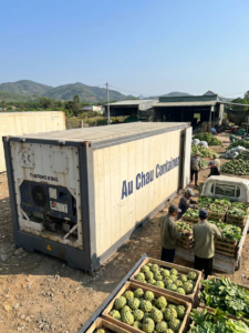 cont lạnh 20 feet tại Tây Ninh