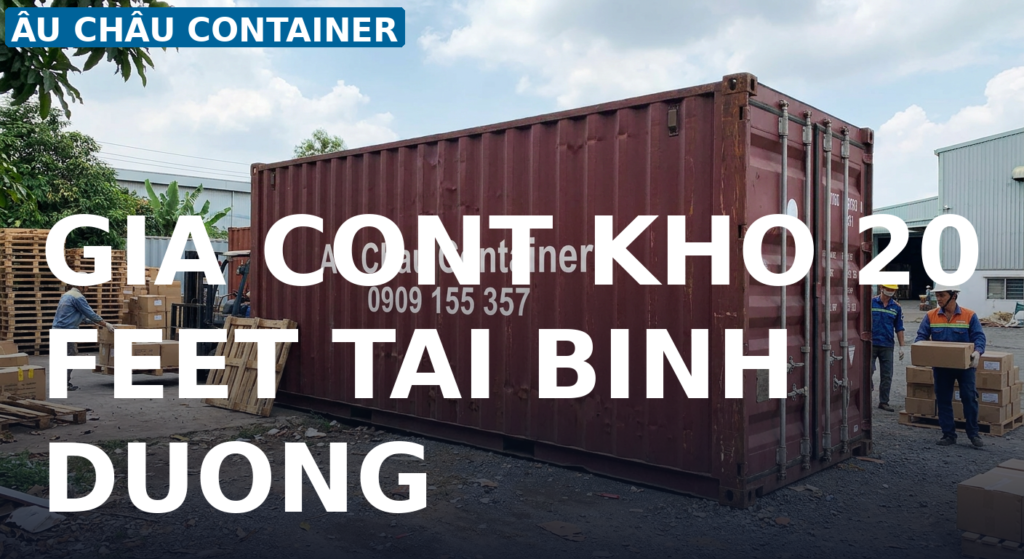 cont khô 20 feet tại Bình Dương
