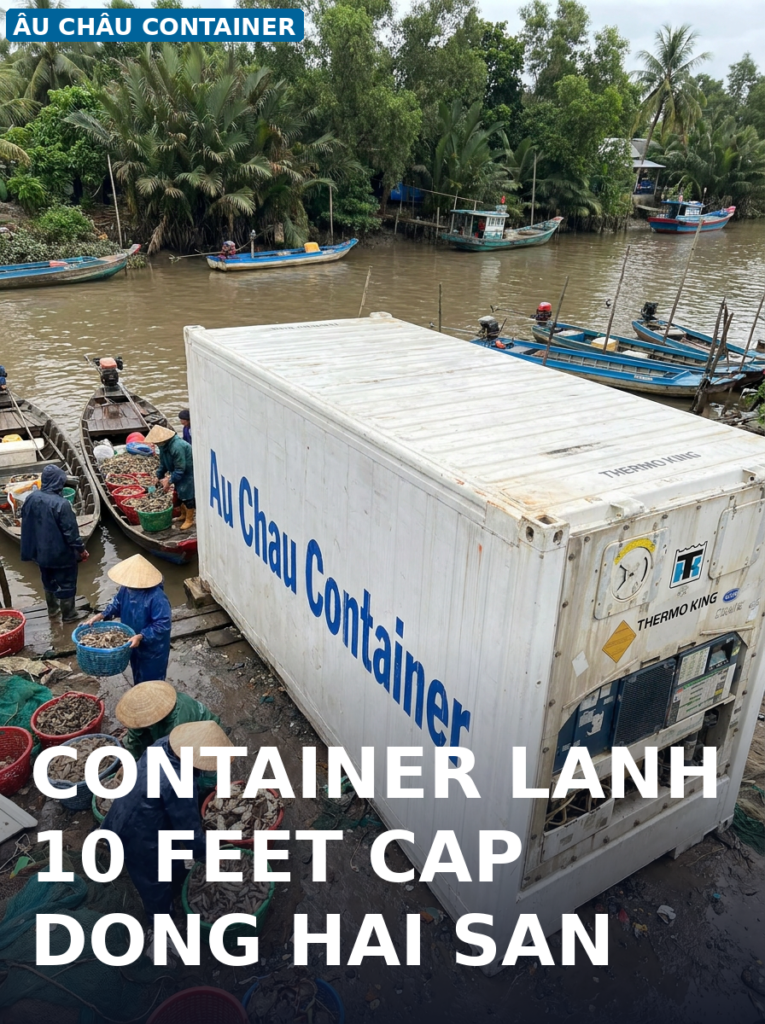 container lạnh 10 feet cấp đông thủy hải sản