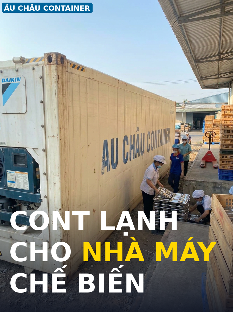 cont lạnh cho nhà máy chế biến thực phẩm tại Bình Dương