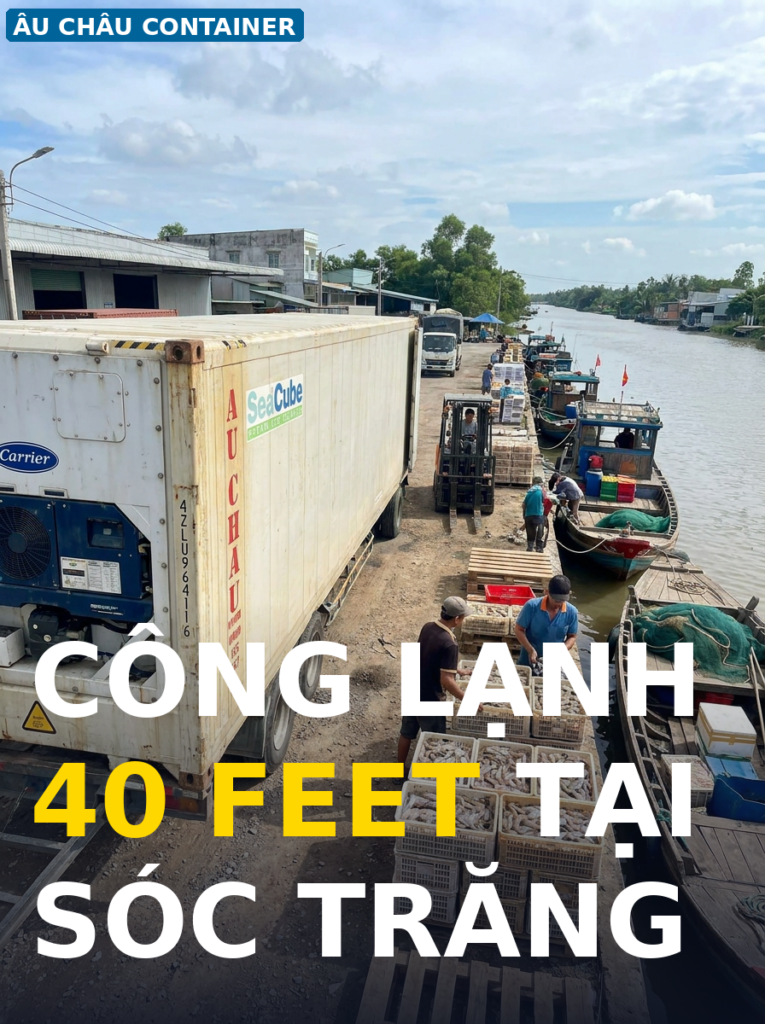 công lạnh 40 feet tại Sóc Trăng tại bến bãi thu mua thủy sản