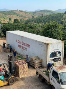 công lạnh bảo quản nông sản tại Gia Lai cà phê hồ tiêu chanh dây