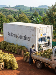 container lạnh 10 feet trữ sầu riêng tại Đắk Nông kho lạnh di động