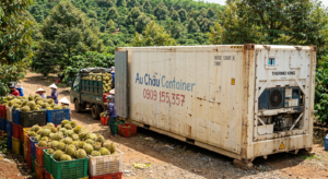 container lạnh 10 feet trữ sầu riêng tại Gia Lai