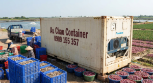 container lạnh 10 feet tại Sóc Trăng